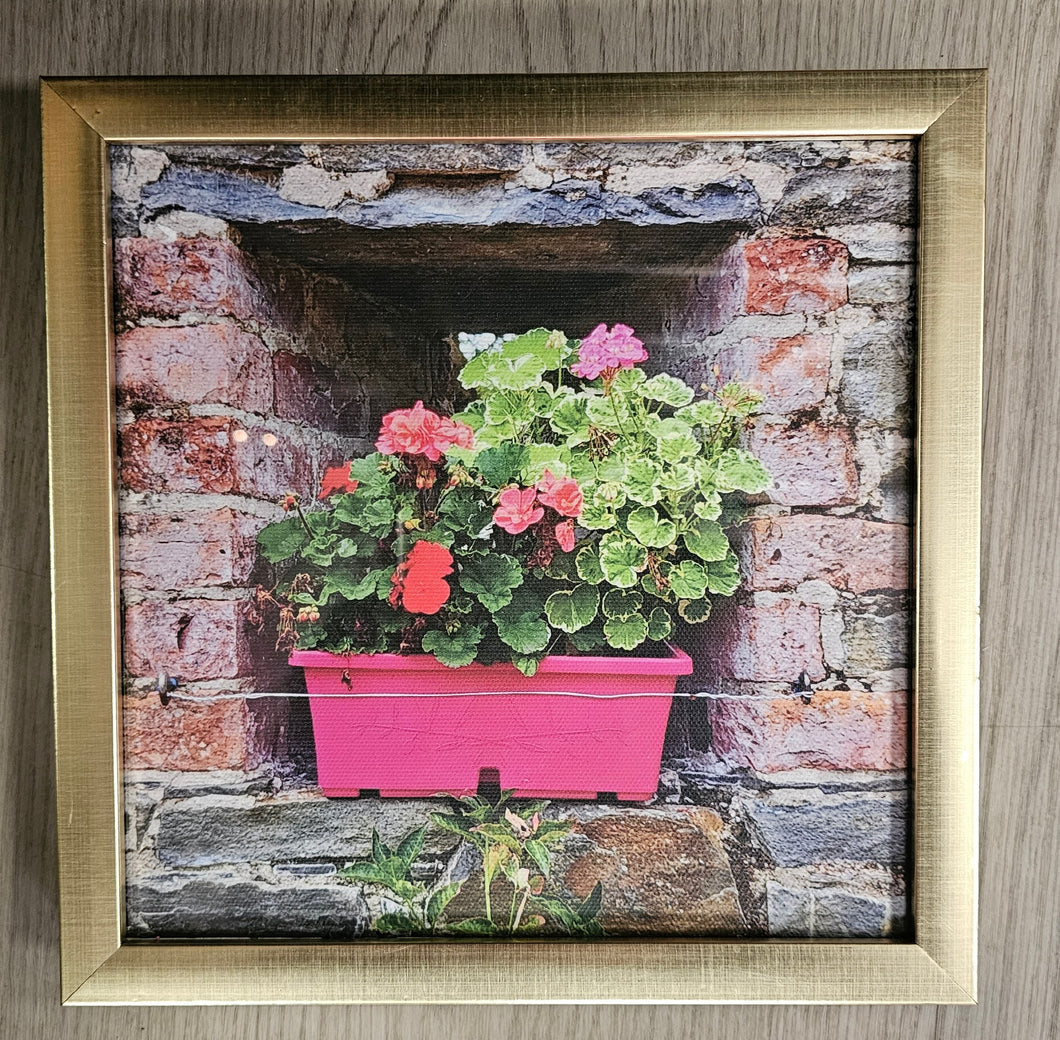 Irish Canvas