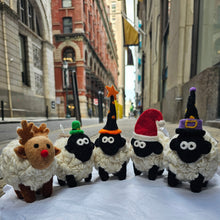 Wool Labaabaa Sheep