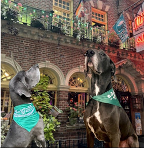 McGillin's Dog Bandana